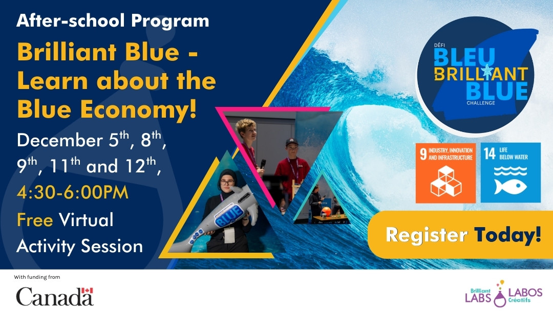 Virtual Beginner Scratch program feature poster