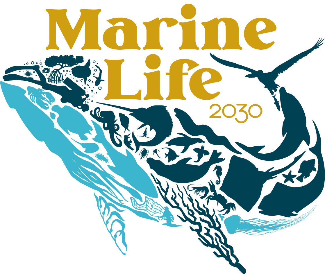 Marine Life 2030 logo