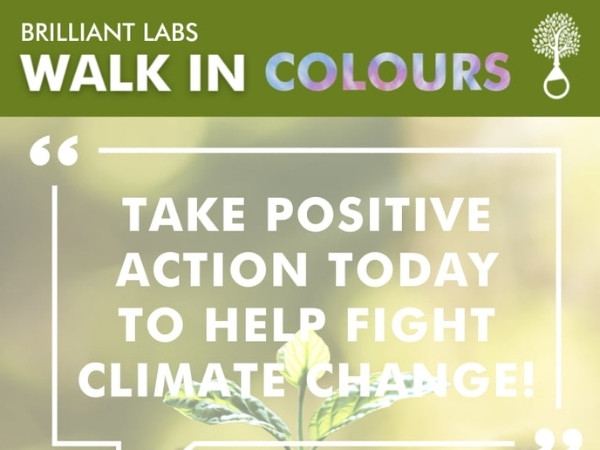 Walk in colours activity image